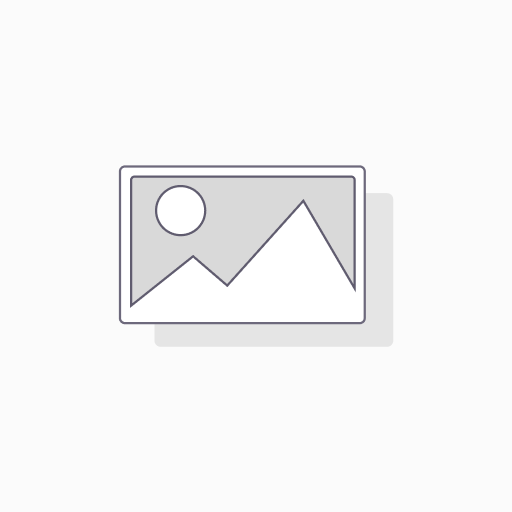 ERP Project Manager